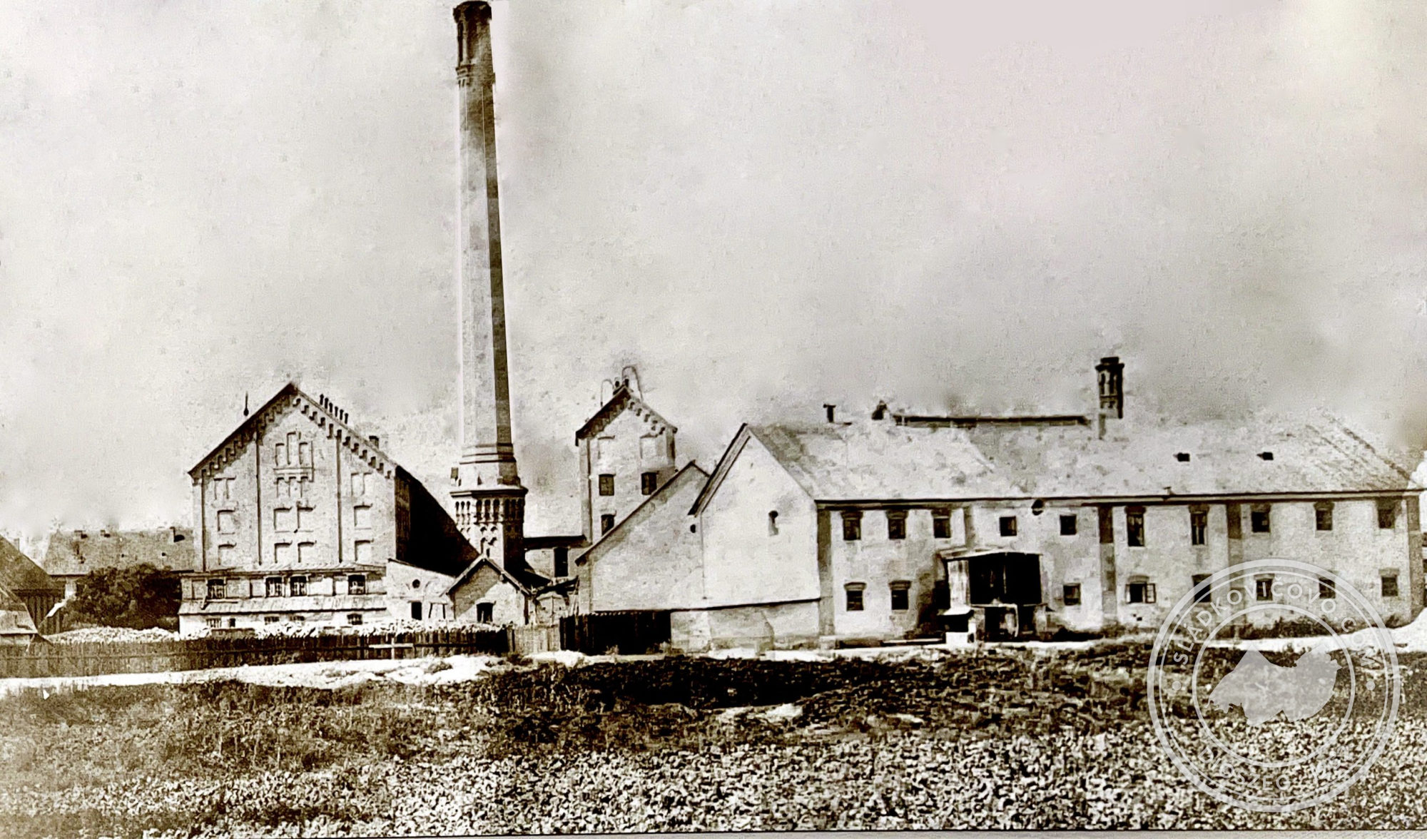 Fotografia z roku 1882.